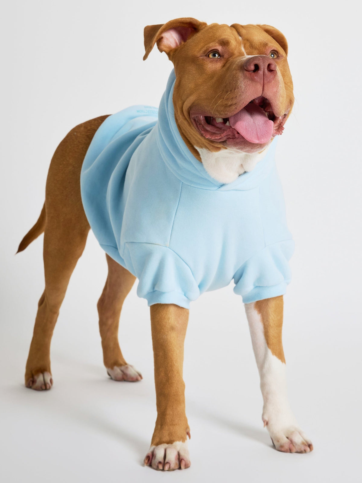 Baby Blue / Kash
