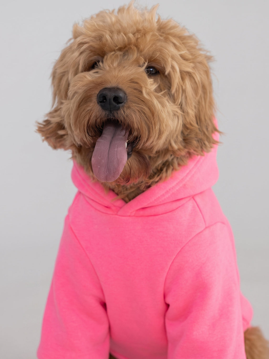 Tranquil Paw Hoodie