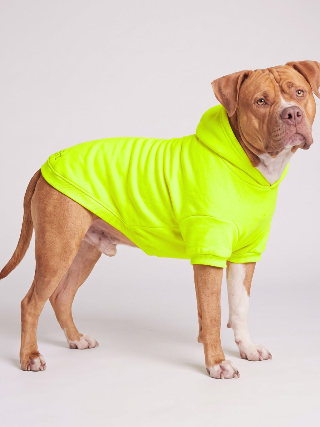 Neon Minimalist Paw Hoodie