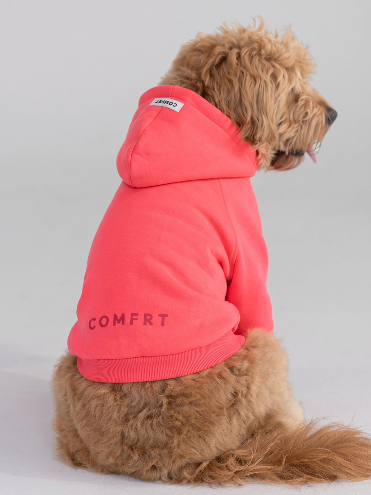 Tranquil Paw Hoodie