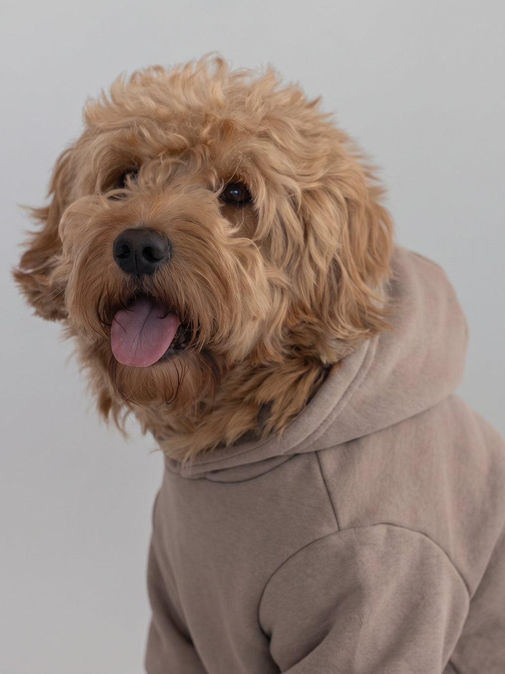 Tranquil Paw Hoodie