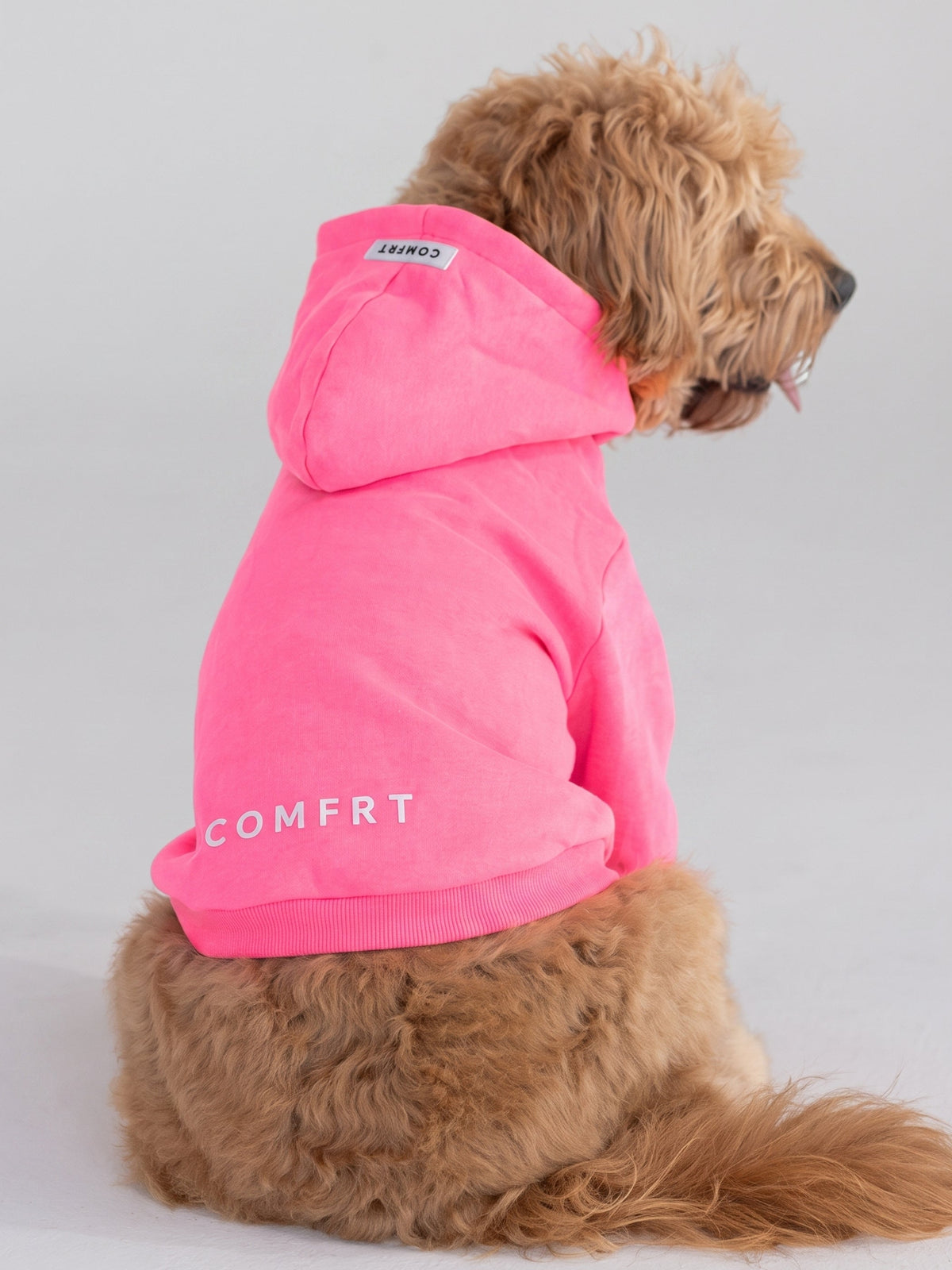 Tranquil Paw Hoodie