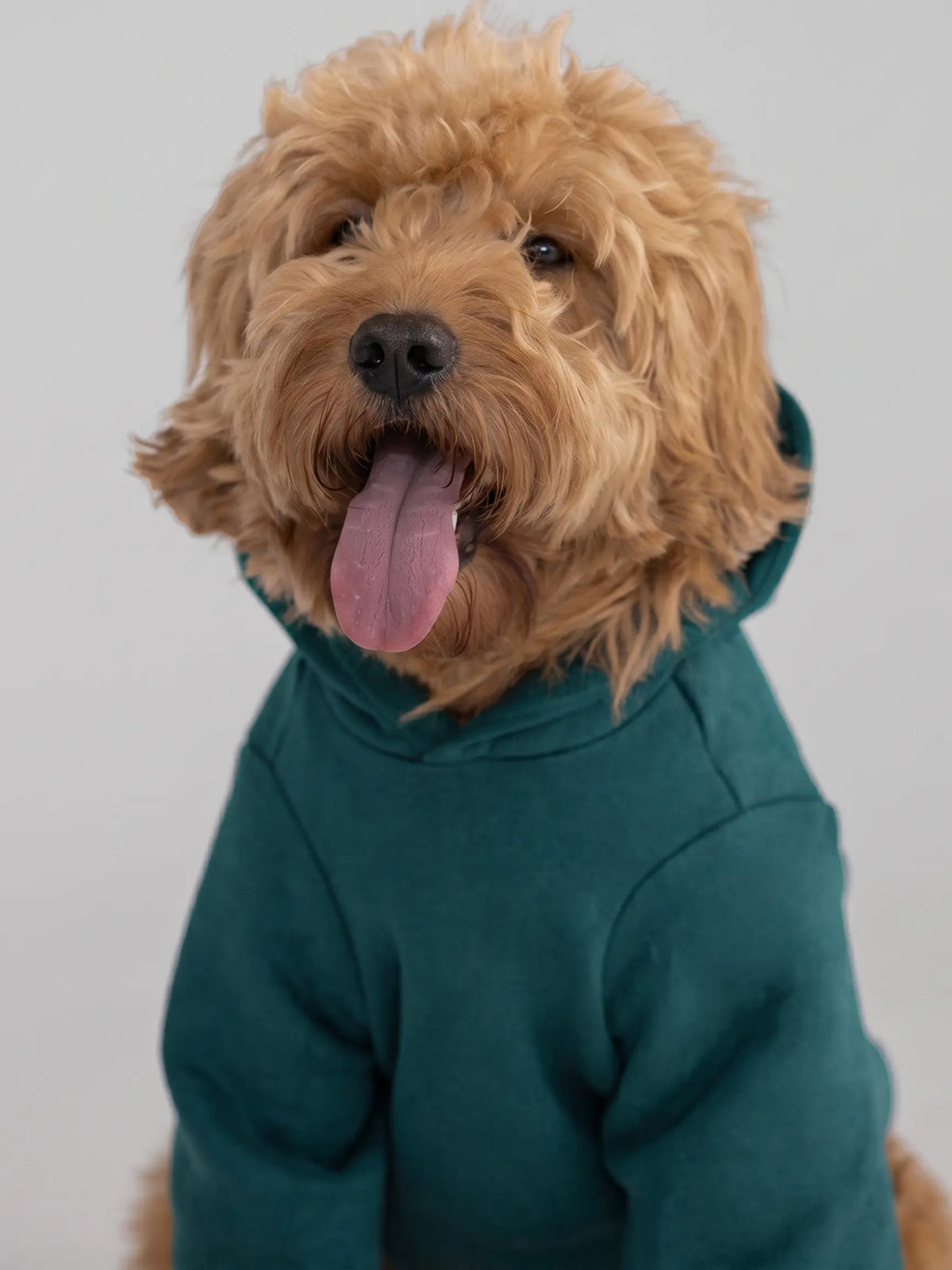 Tranquil Paw Hoodie