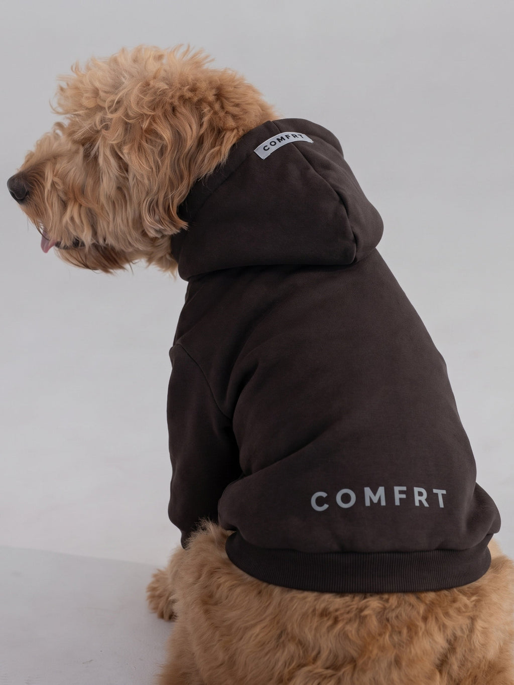 Tranquil Paw Hoodie