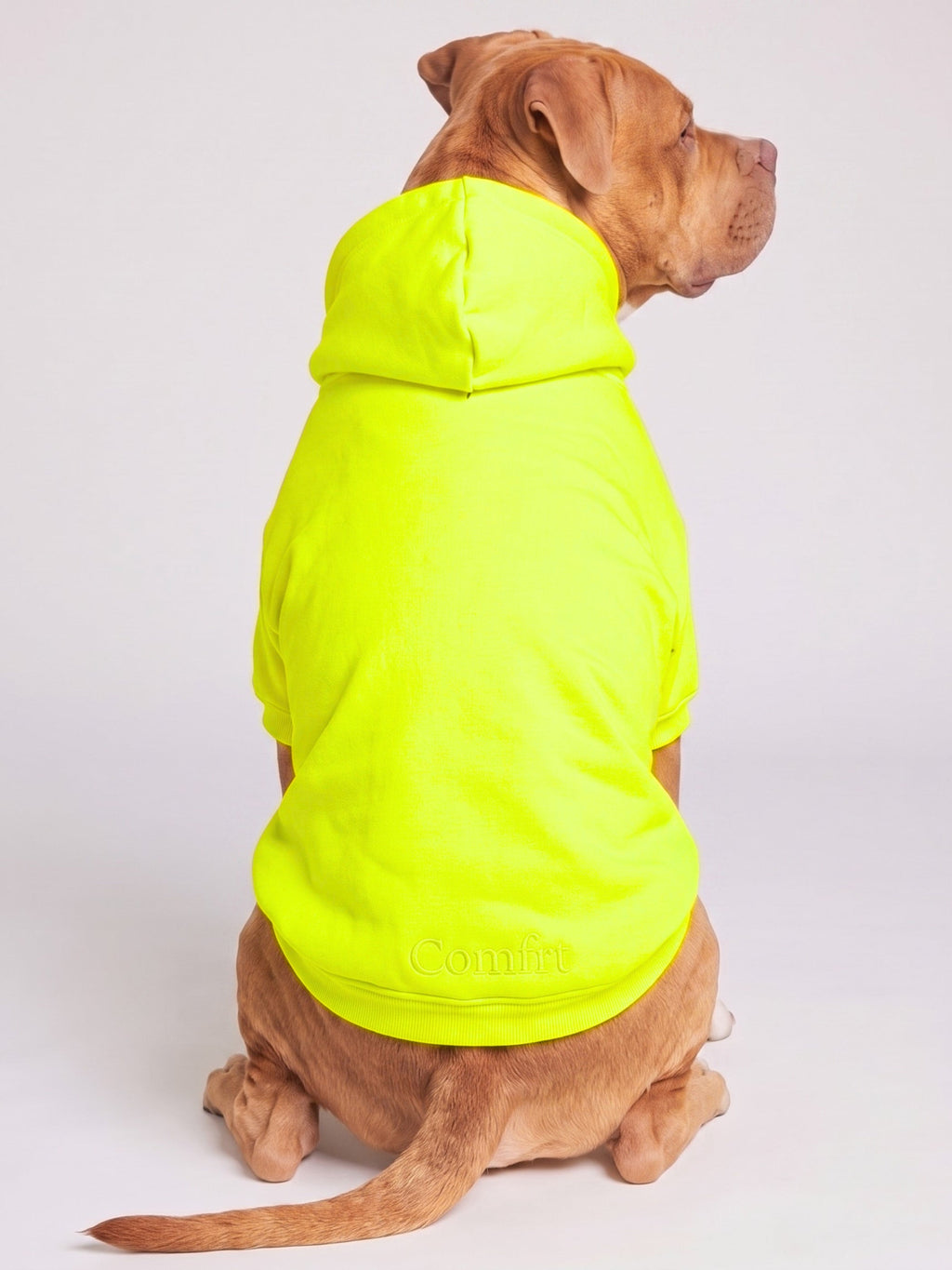 Neon Minimalist Paw Hoodie