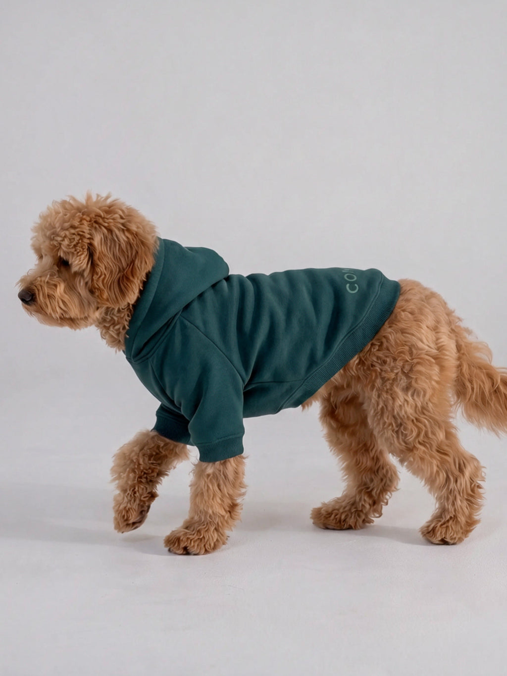 Tranquil Paw Hoodie
