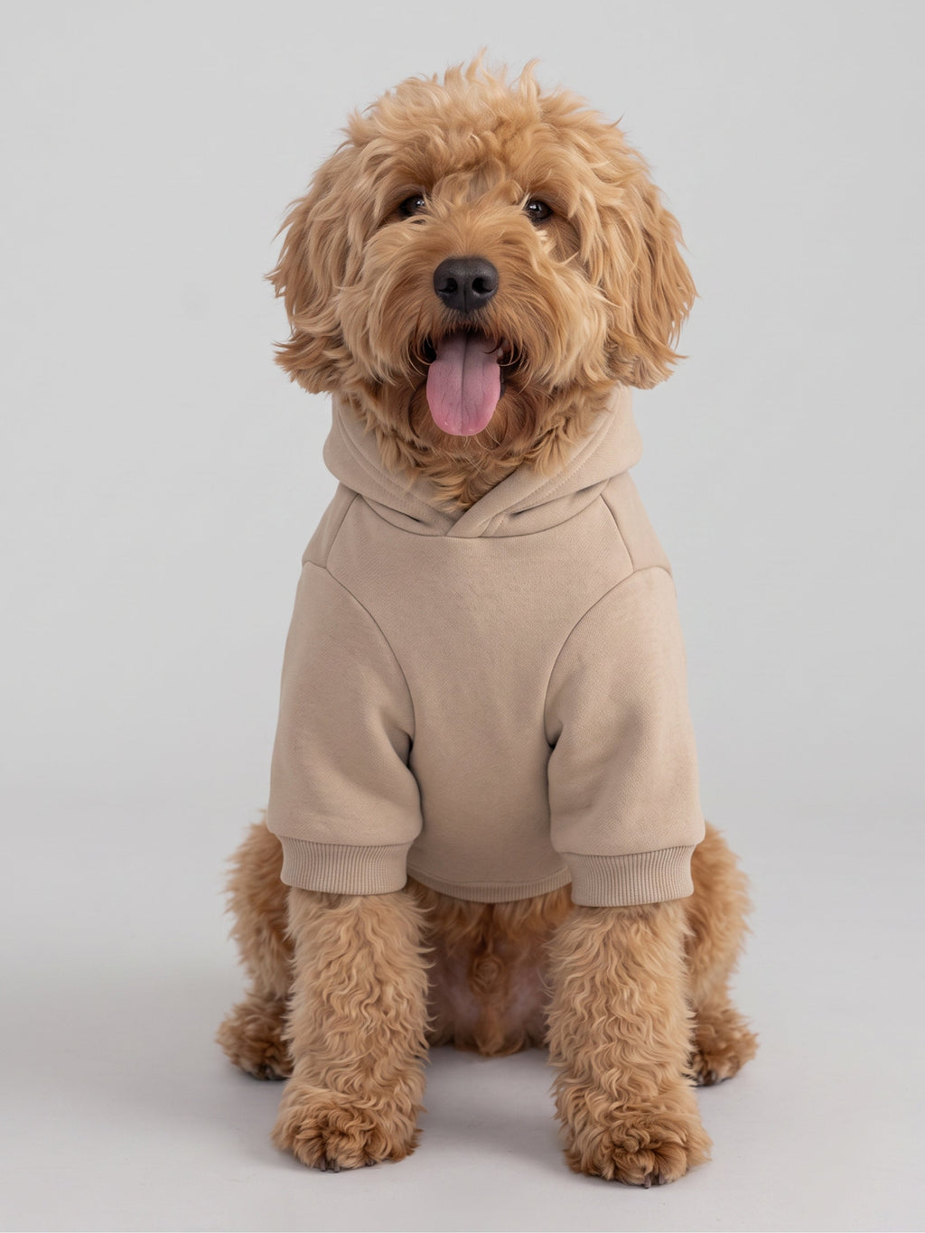 Minimalist Paw Hoodie