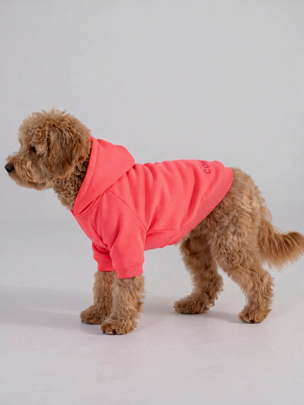 Tranquil Paw Hoodie
