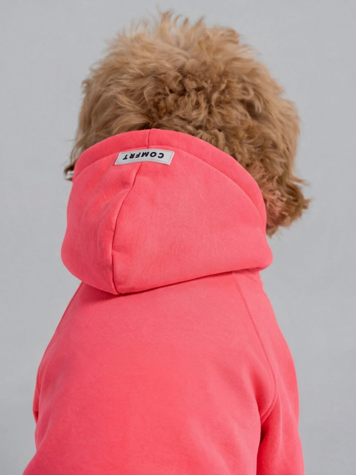 Tranquil Paw Hoodie