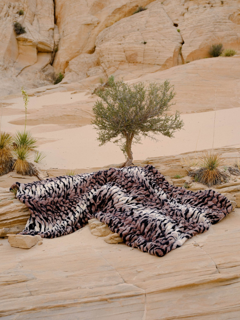 Dreamer Blanket