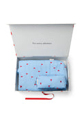 Light Blue Hearts Classic Puffy Gift Set