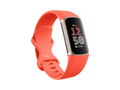 Fitbit Charge 6